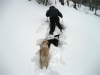 snowshoing_monticello_09