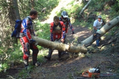 Grant Dollars at Work